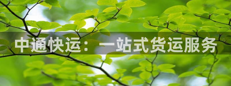 南宫28圈官网版：中通快运：一站式货