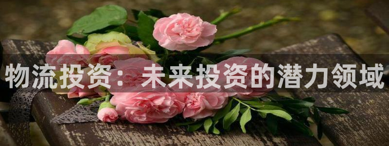 28圈aPP退款：物流投资：未来投资