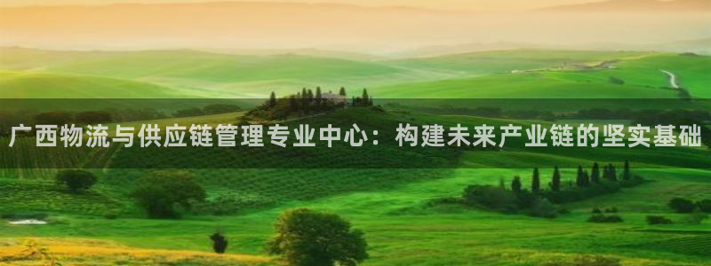 28圈怎么注册账号：广西物流与供应链