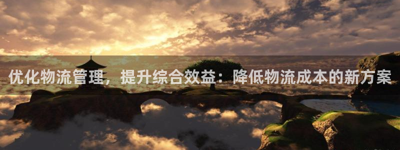 28圈提款一直没到：优化物流管理，提