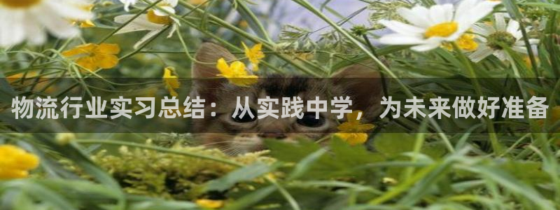 28圈模拟器在线使用：物流行业实习总