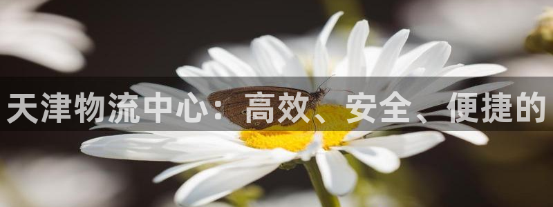 28圈辅助