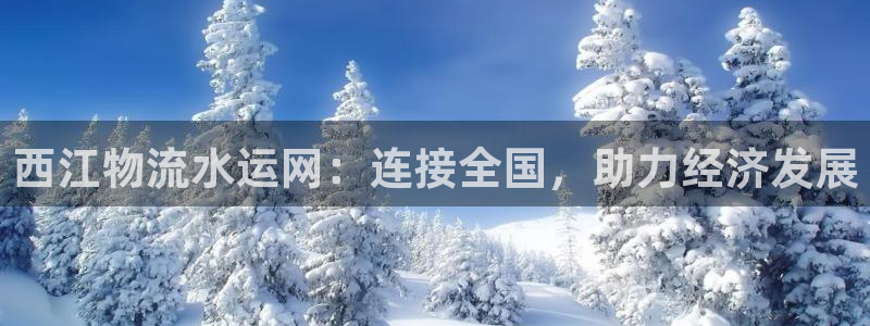 28圈链接：西江物流水运网：连接全国