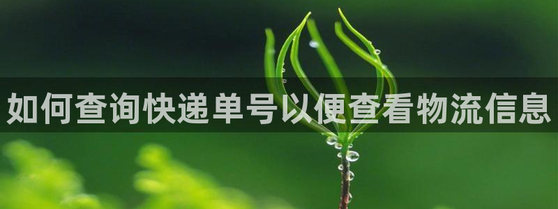 28圈电子：如何查询快递单号以便查看