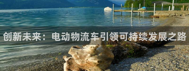 28圈游戏官网版：创新未来：电动物流