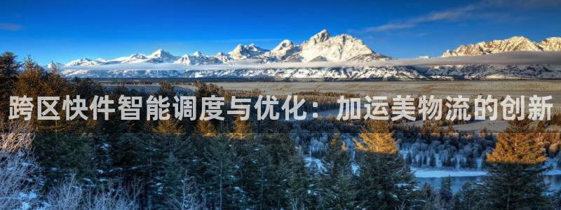 28圈官方平台：跨区快件智能调度与优