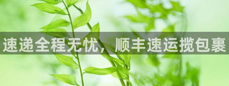 28圈官网链接：速递全程无忧，顺丰速