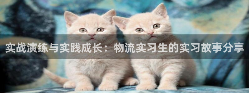 28圈软件有什么用：实战演练与实践成长：物流实习生的实习故事