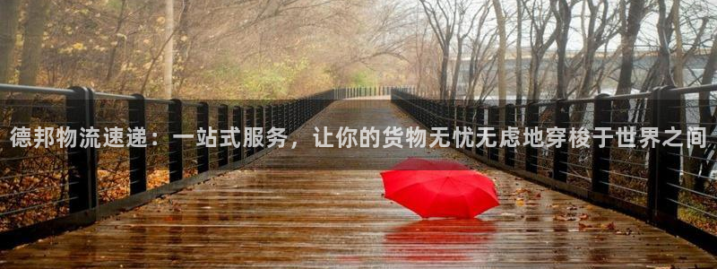 28圈登录用户名登录不上：德邦物流速