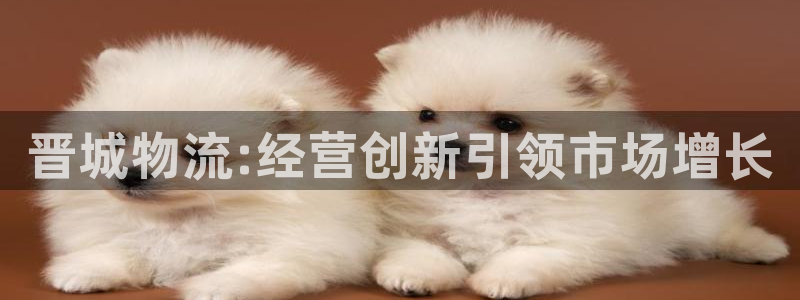 28圈能赢钱吗：晋城物流:经营创新引领市场增长