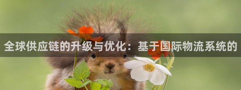28圈注册与教程：全球供应链的升级与