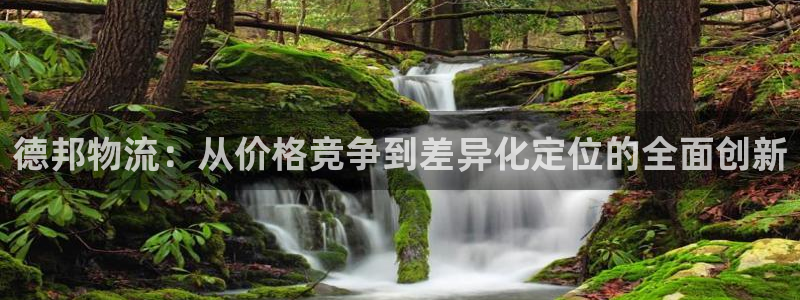 28圈模拟器下载：德邦物流：从价格竞争到差异化定位的全面创新