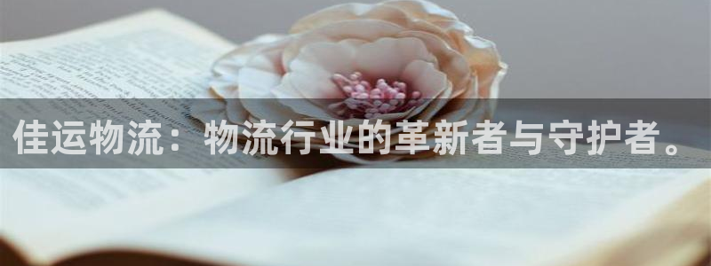 28圈ip被限制怎么解决：佳运物流：