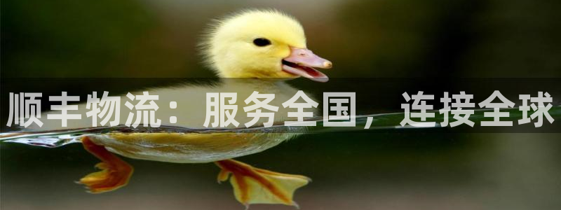 28圈加拿大预测：顺丰物流：服务全国