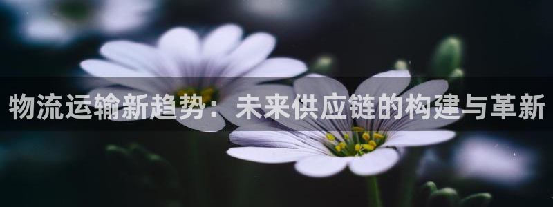 28圈模拟：物流运输新趋势：未来供应