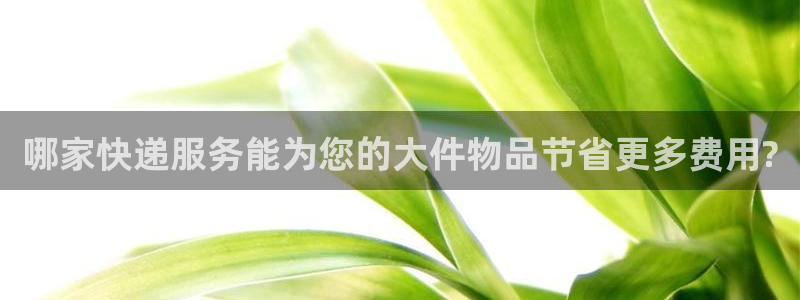 28圈能退款吗：哪家快递服务能为您的