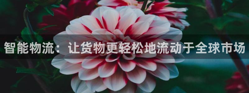 28圈注册网站APP：智能物流：让货
