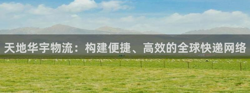 28圈注册用户名是什么：天地华宇物流