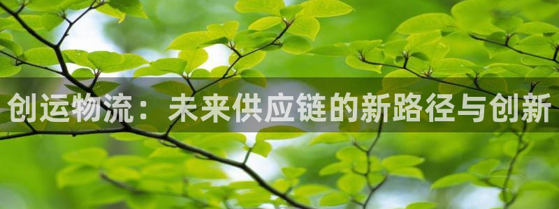 28圈推广链接是多少钱一个：创运物流