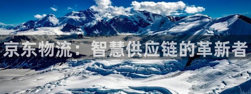 28圈电子：京东物流：智慧供应链的革