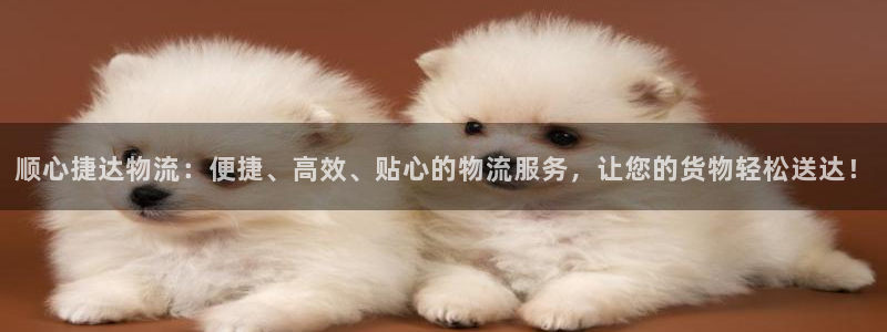 28圈注册网站多少钱：顺心捷达物流：