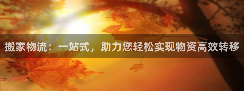28圈黑款：搬家物流：一站式，助力您