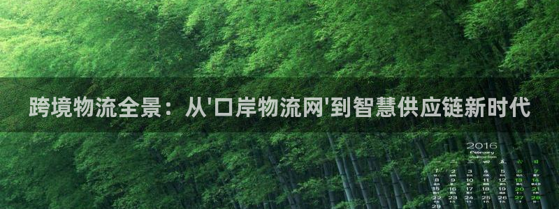 28圈比特28真实吗：跨境物流全景：从\'口岸物流网\'到智