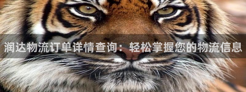 28圈麻将胡了：润达物流订单详情查询