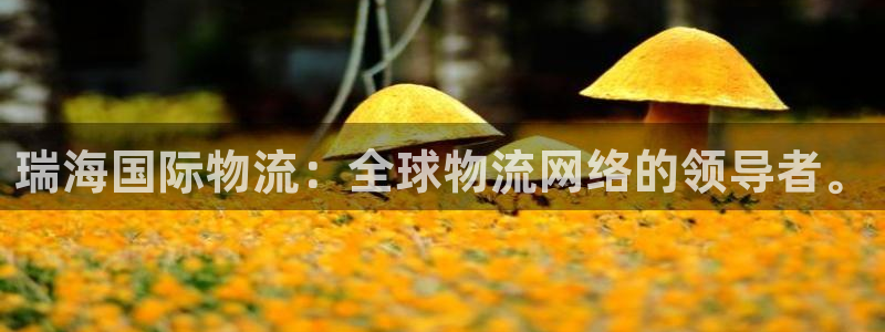 28圈.ccmpc正版：瑞海国际物流
