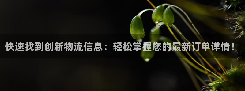 28圈app能退款吗：快速找到创新物