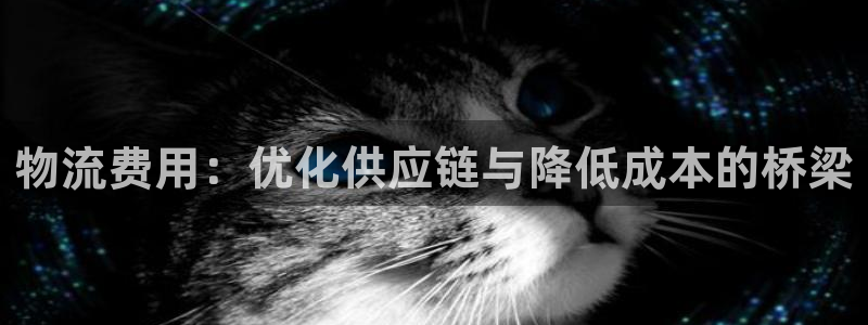 28圈旗下：物流费用：优化供应链与降