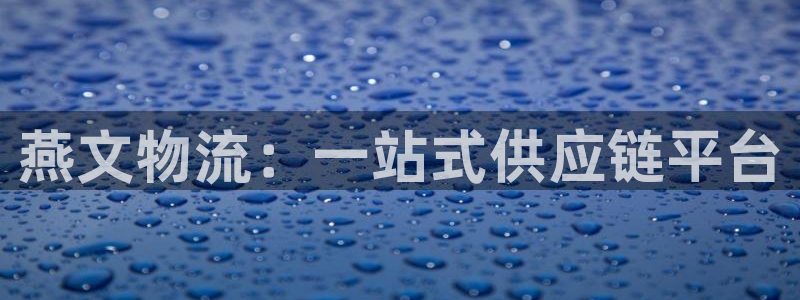 28圈吧：燕文物流：一站式供应链平台