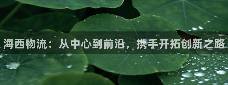 28圈娱乐官网网页入口：海西物流：从