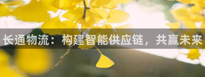 28圈合法吗：长通物流：构建智能供应