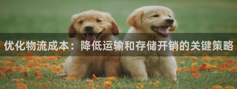 28圈的自行车：优化物流成本：降低运输和存储开销的关键策略