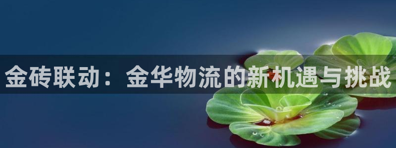 28圈注册与教程：金砖联动：金华物流