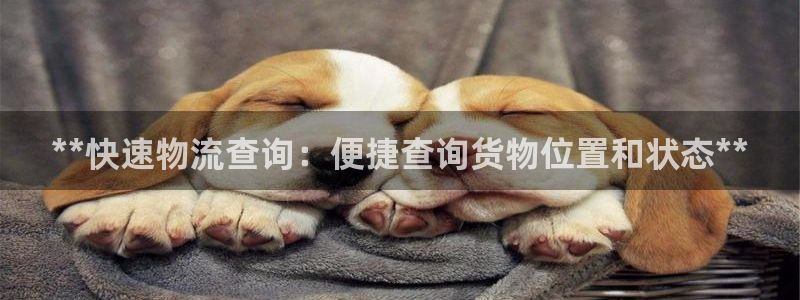 28圈注册网站多少钱