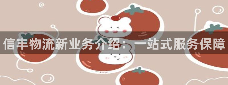 28圈充值不到账