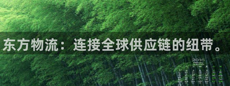 28圈注册网站链接怎么弄