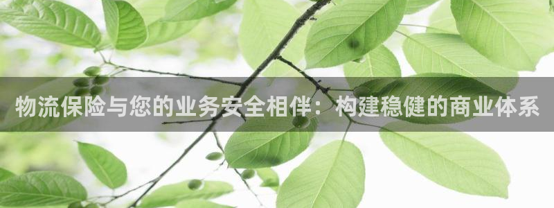28圈游戏最新版
