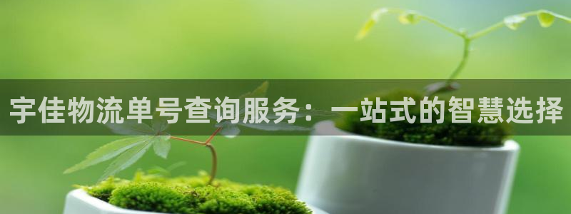 28圈网站怎么注册