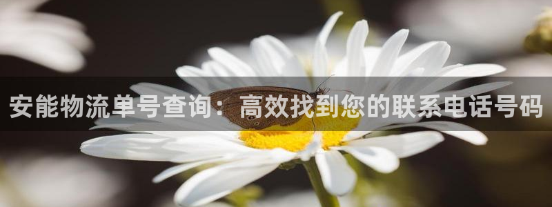 28圈赌博软件正规吗：安能物流单号查询：高效找到您的联系电话