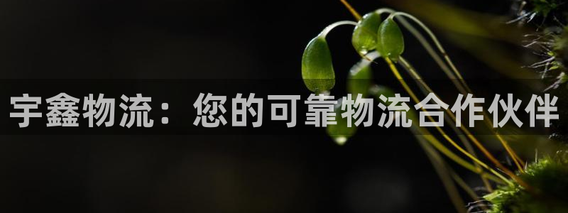 28圈百度百科：宇鑫物流：您的可靠物