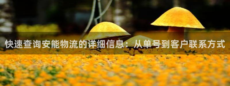 28圈能不能退：快速查询安能物流的详细信息：从单号到客户联系