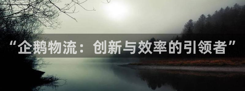 28圈充值为什么充不了：“企鹅物流：