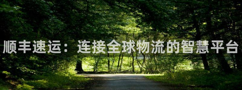 28圈注册用户名是什么