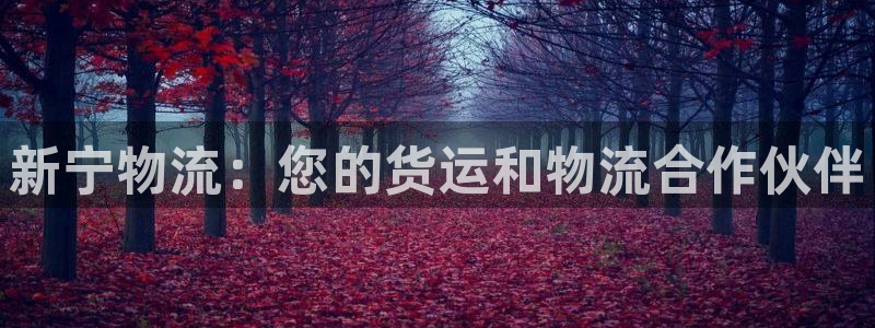 28圈网赌有什么风险：新宁物流：您的
