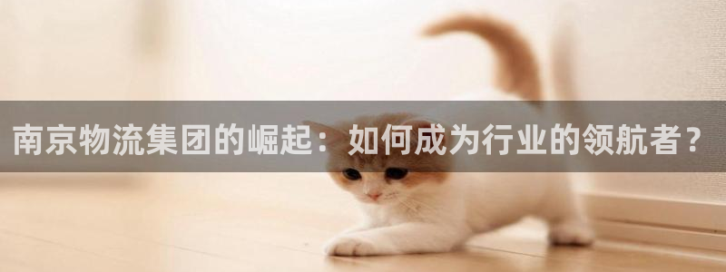 28圈注册送：南京物流集团的崛起：如