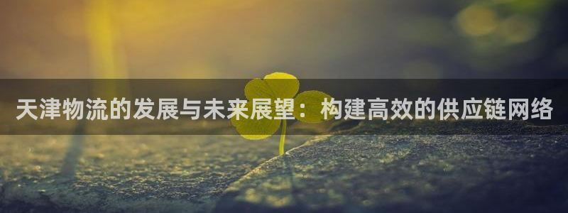 28圈加拿大能提现吗：天津物流的发展