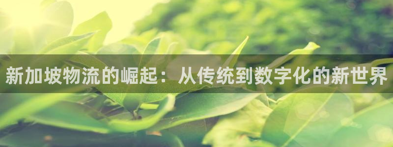 28圈加拿大走势